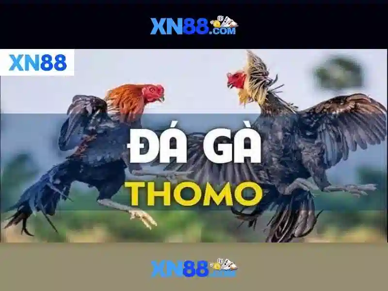 xn88: Nền tảng trực tuyến và hành trình phát triển
