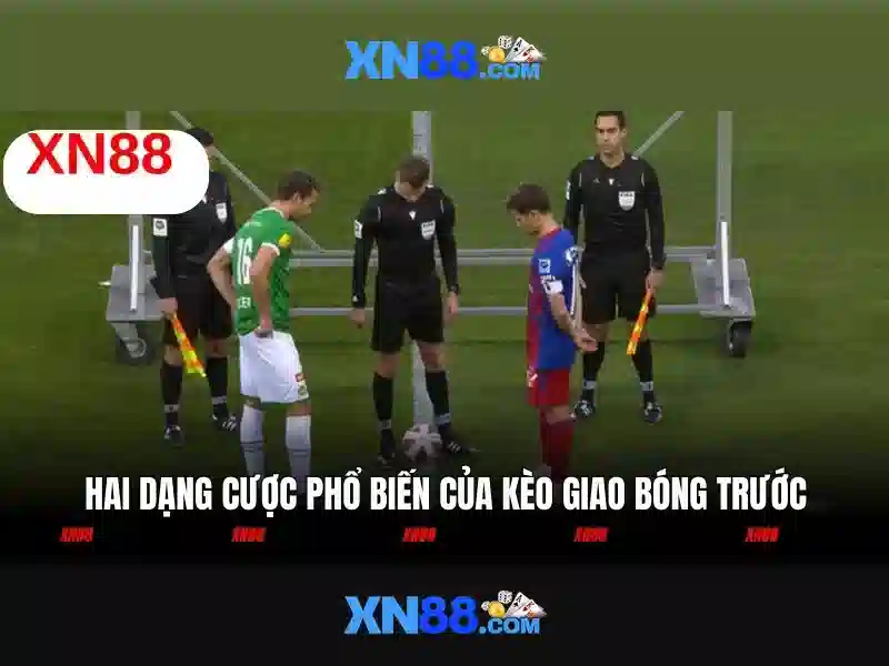 xn88 là gì và cách sử dụng trên nền tảng số
