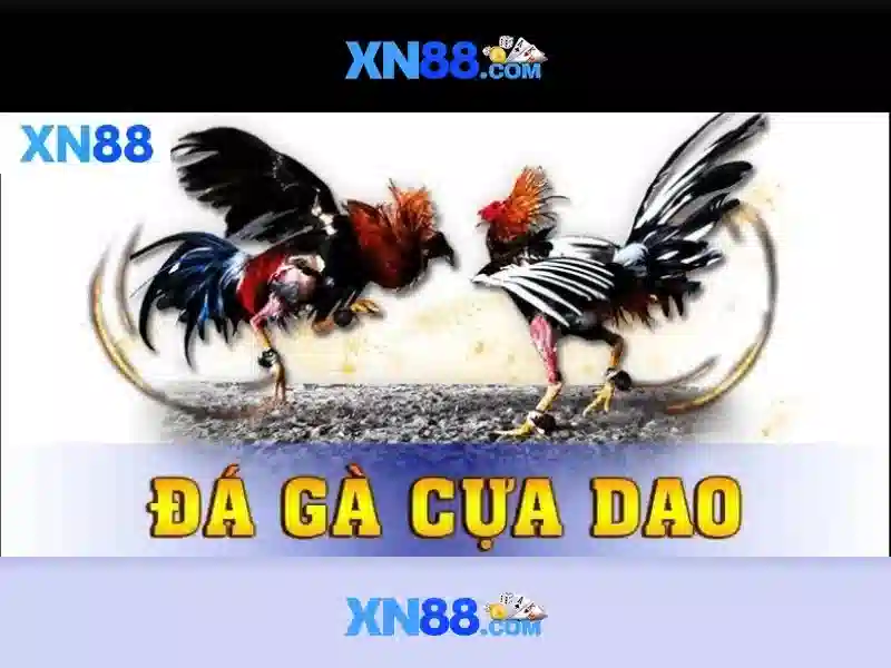 xn88 - một nền tảng cược trực tuyến phổ biến tại Việt Nam