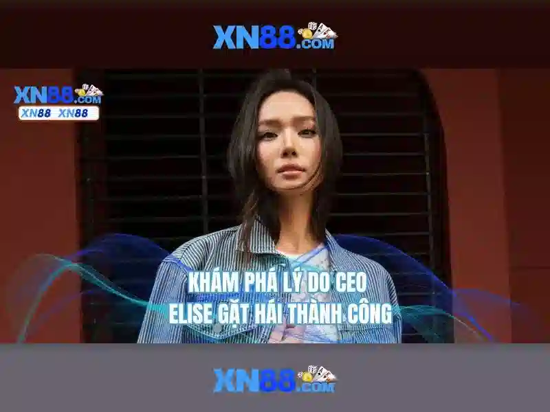 xn88 ampleur.jp***.com - Định hình thương hiệu và trải nghiệm người dùng