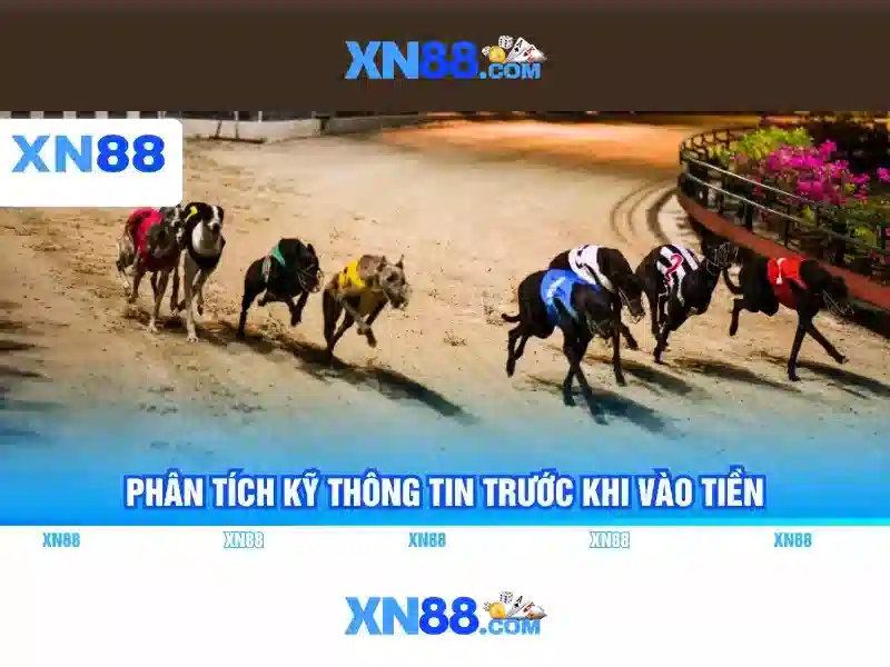 Lịch sử và nguồn gốc xn88