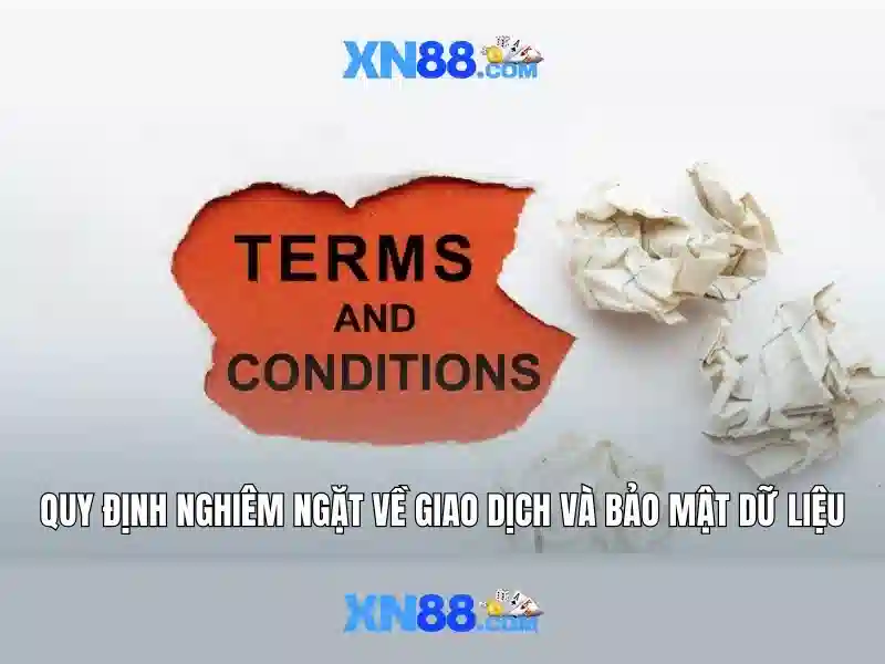 Trải nghiệm người dùng và phản hồi của cộng đồng