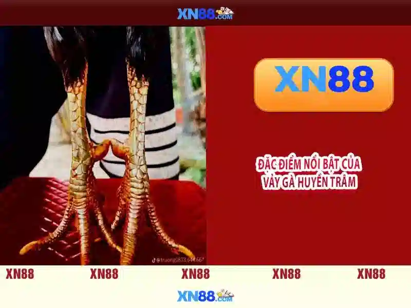 XN88: Tổng quan và đánh giá về nền tảng cá cược trực tuyến