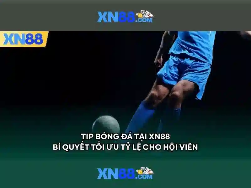 Tính năng và trải nghiệm người dùng