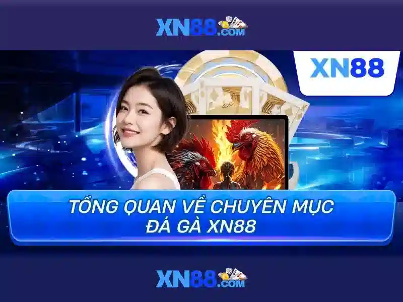 xn88 – Định hình thương hiệu số và trải nghiệm người dùng