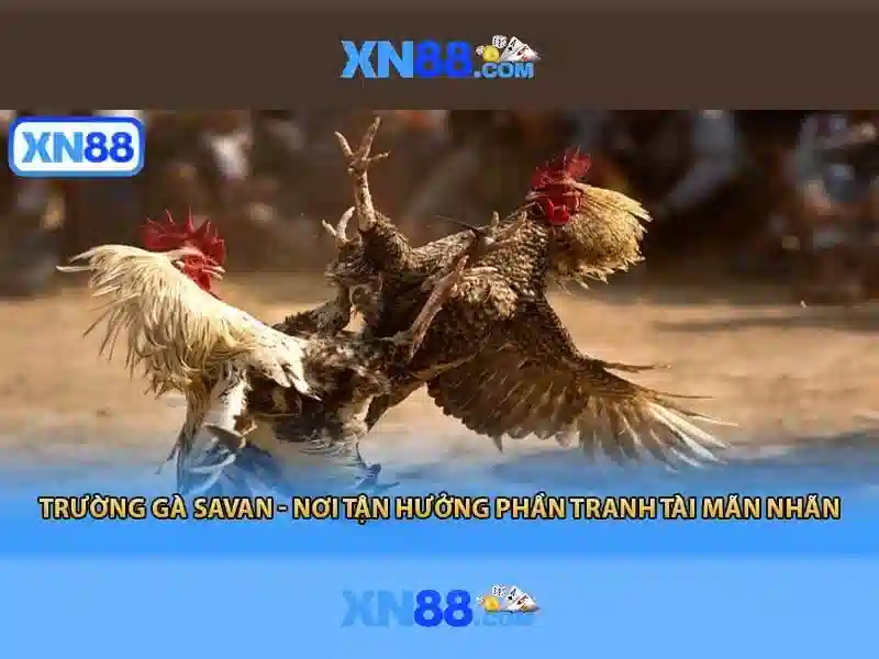 Các sản phẩm và dịch vụ