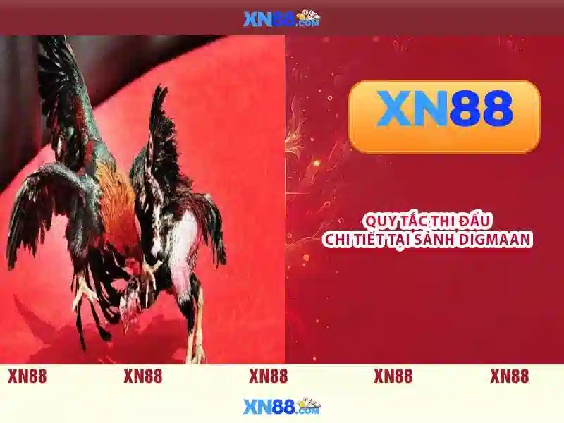 xn88 – Nền tảng giải trí trực tuyến