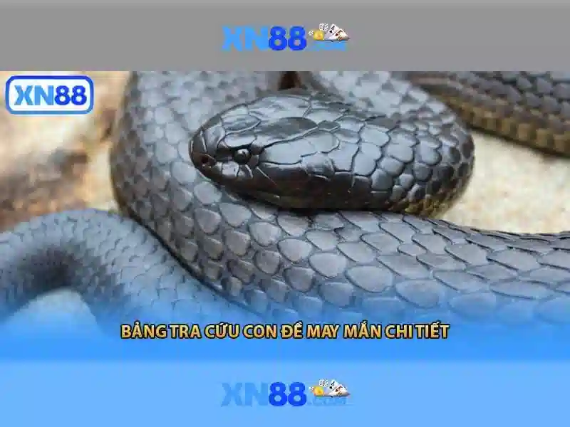 Giới thiệu về xn88