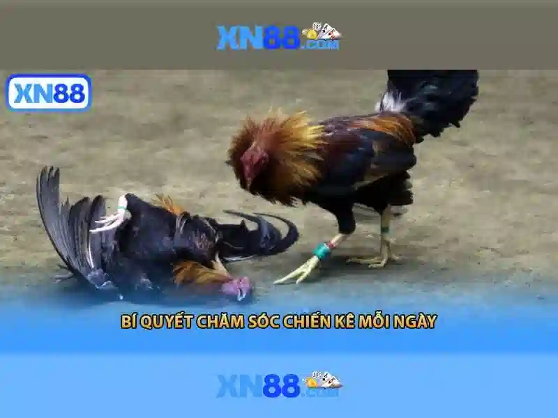 Minh-hoa-quan-ly-thiet-bi