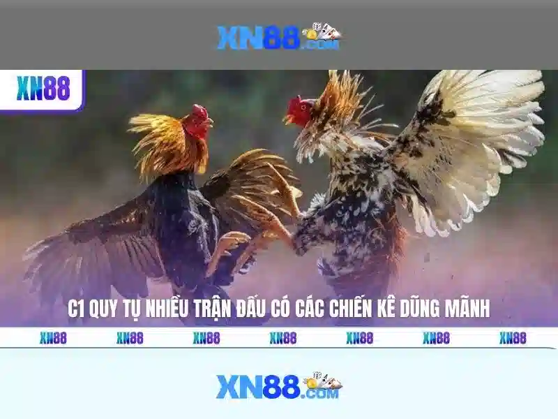 Xn88 - Nền tảng trò chơi trực tuyến hàng đầu