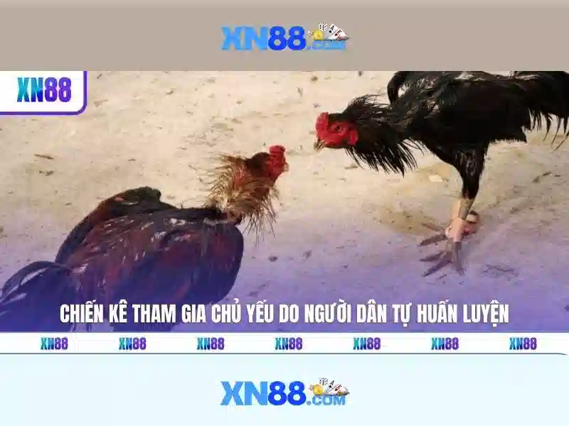 Giới thiệu về xn88