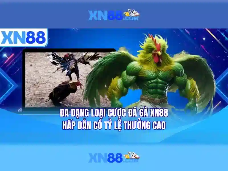 xn88..com – Nền tảng uy tín cho người Việt