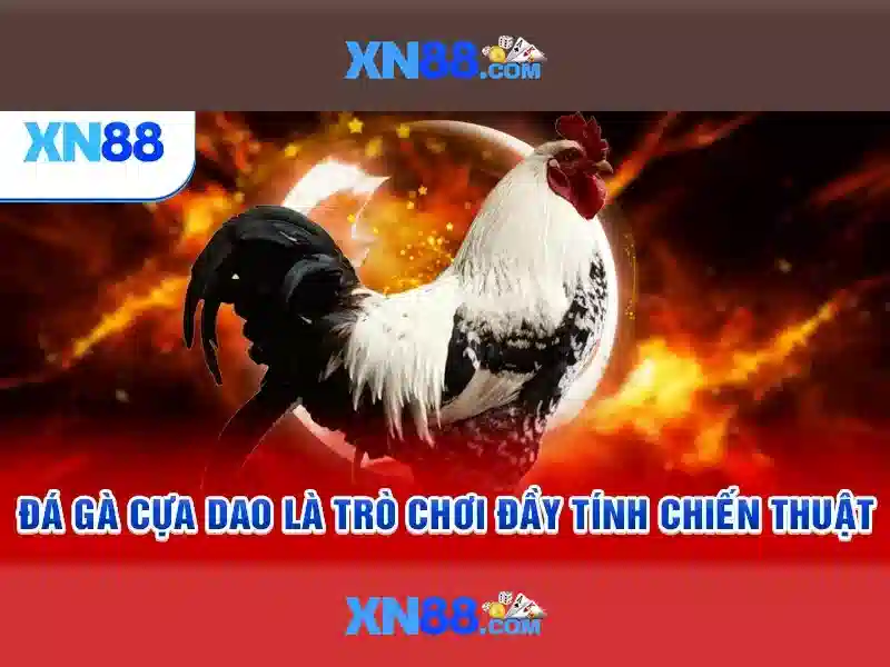 xn88 in.net - Tổng quan, trải nghiệm và đánh giá