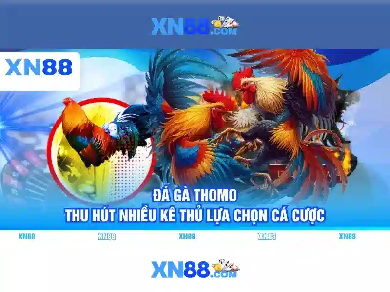 tool xn88: Khai thác sức mạnh công cụ tối ưu SEO