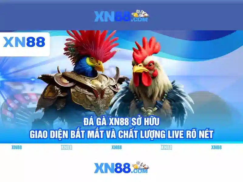 Khuyến mãi và ưu đãi dành cho người chơi
