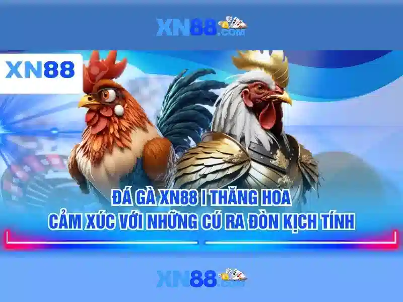 xn88 là gì — Tổng quan, sản phẩm và lợi thế cạnh tranh