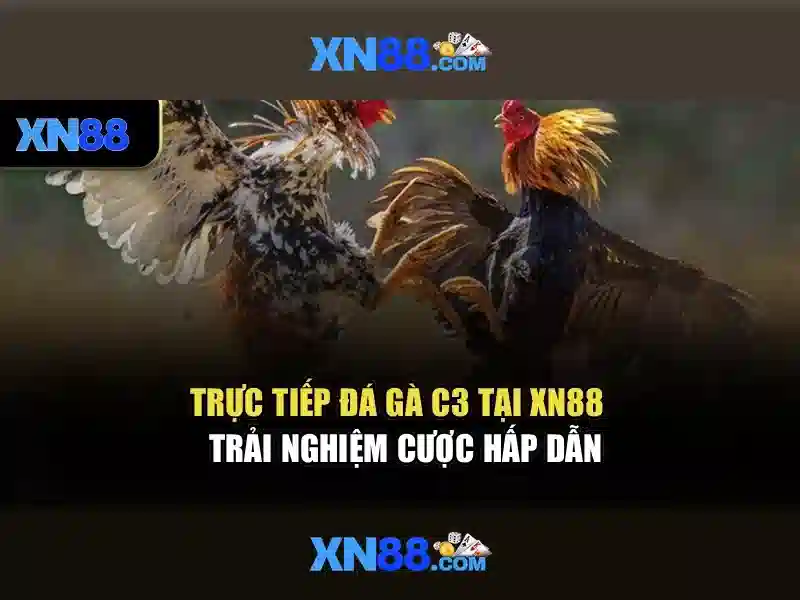 Tính năng chính của xn88