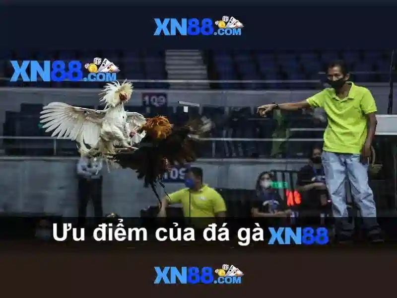 Tổng quan về xn88