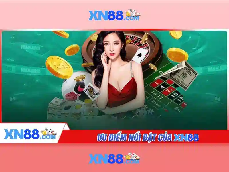 An toàn và quản lý rủi ro