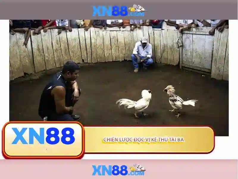 xn88 – Nền tảng giải trí trực tuyến và đánh giá an toàn