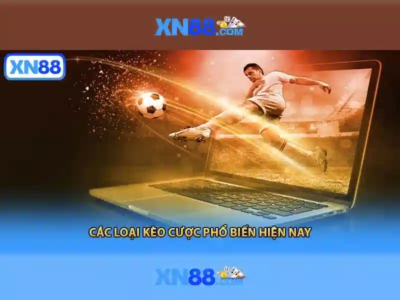 Tính năng nổi bật Tính năng nổi bật