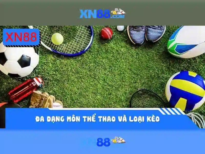 Lịch sử và phát triển Lịch sử và phát triển