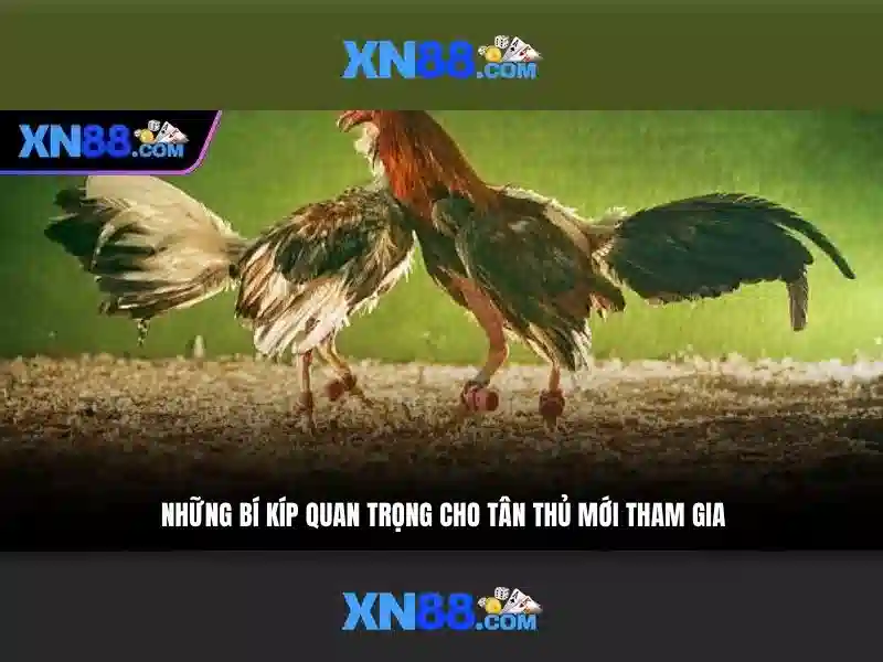 An toàn và hỗ trợ người dùng An toàn và hỗ trợ người dùng