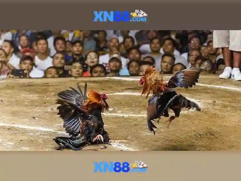 An toàn và trách nhiệm khi tham gia xn88 An toàn và trách nhiệm khi tham gia xn88