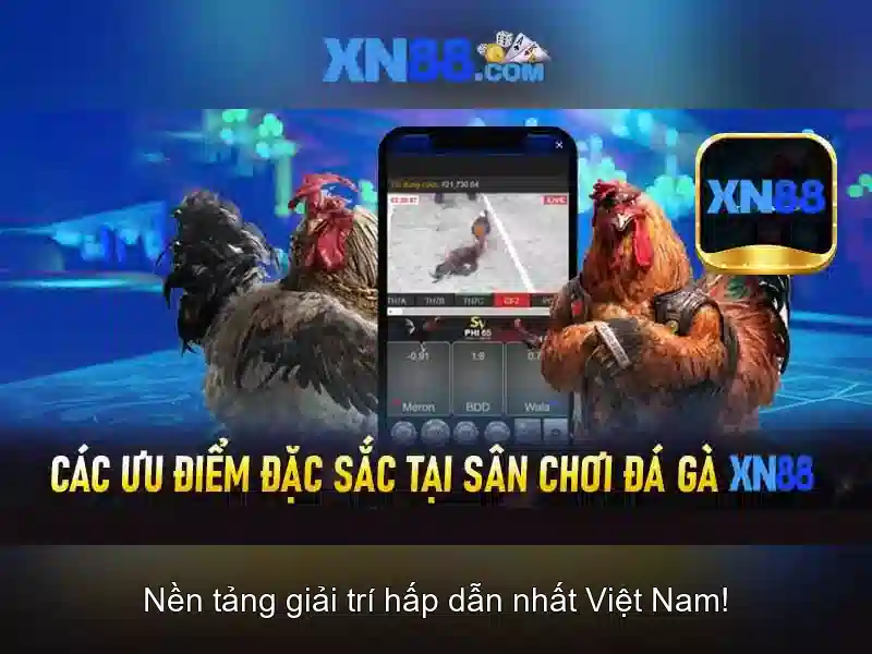 xn88: Nền tảng cược trực tuyến đáng tin cậy
