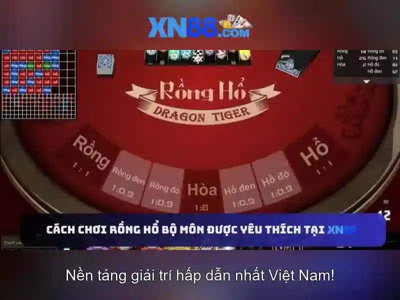 XN88 - Tổng quan về nền tảng cá cược trực tuyến