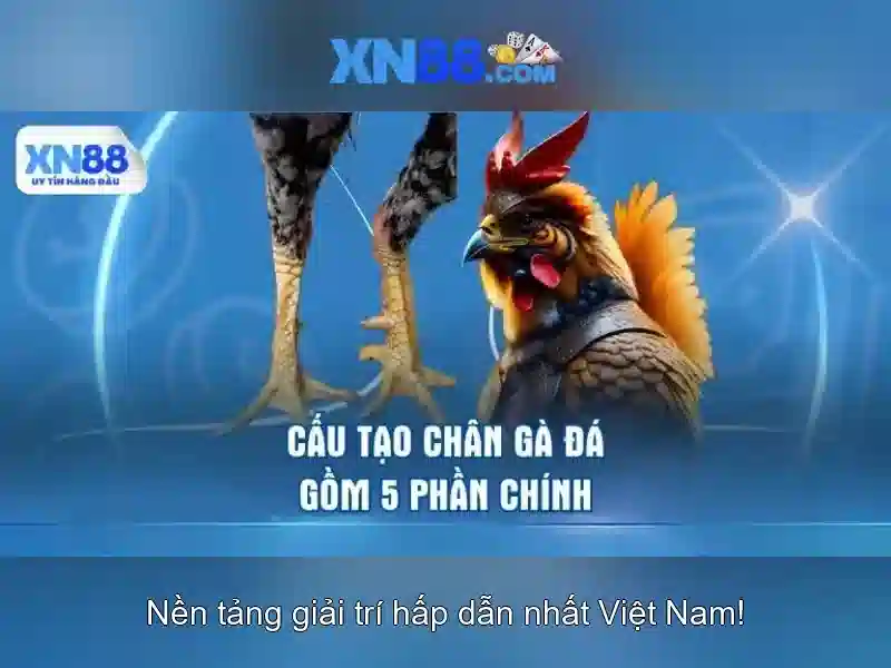 xn88: Nền tảng giải trí trực tuyến và đánh giá toàn diện