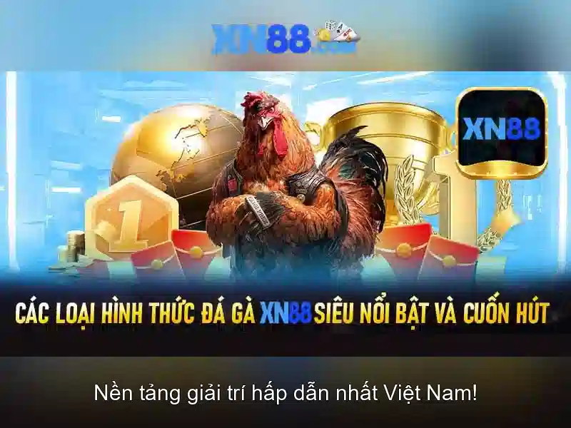 xn88 – Khám phá nền tảng giải trí và cá cược trực tuyến