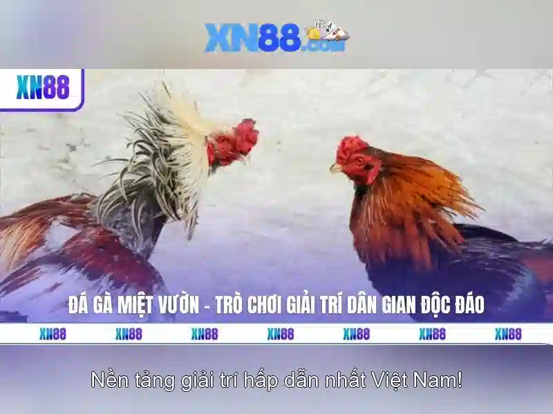 Phát triển tương lai và tầm nhìn toàn cầu Phát triển tương lai và tầm nhìn toàn cầu