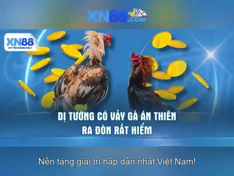 Khám phá xn88