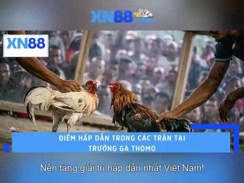 Giới thiệu về xn88 Giới thiệu về xn88