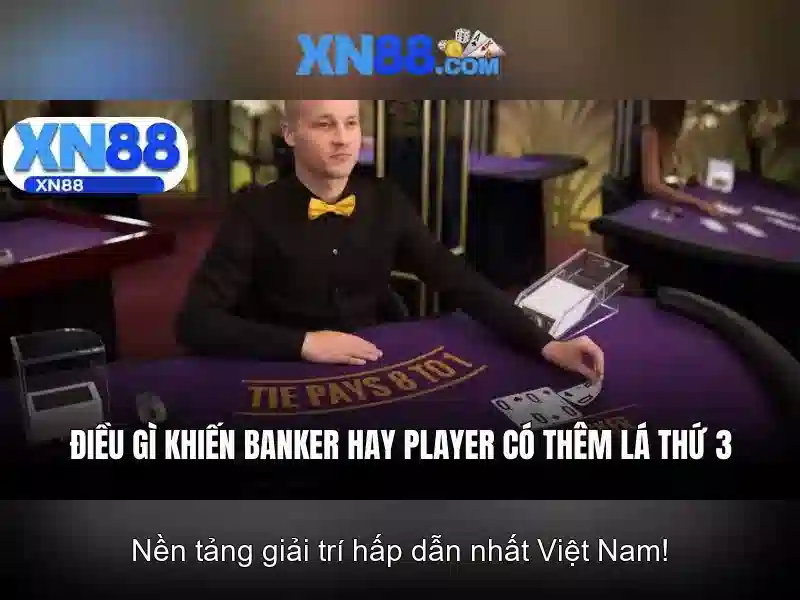 xn88: Tổng quan về nền tảng cược trực tuyến