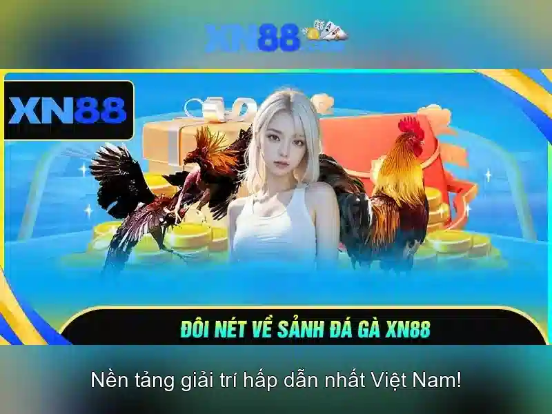 Truy cập xn88: Giới thiệu nhanh