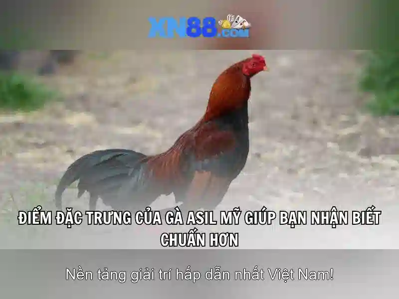 Khuyến mãi và bảo mật Khuyến mãi và bảo mật