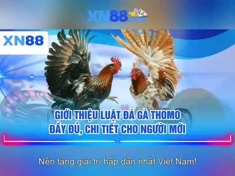 Xn88: Nền tảng chơi game trực tuyến