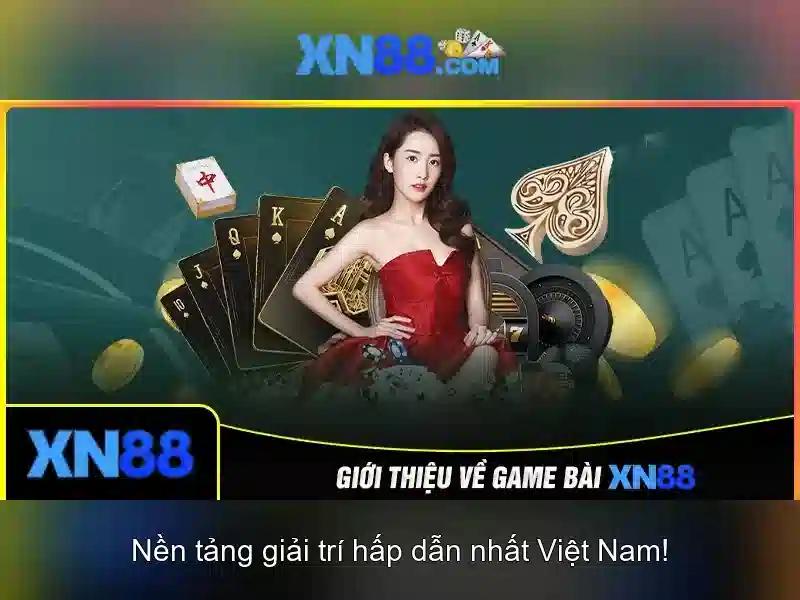 Chính sách thanh toán và khuyến mãi