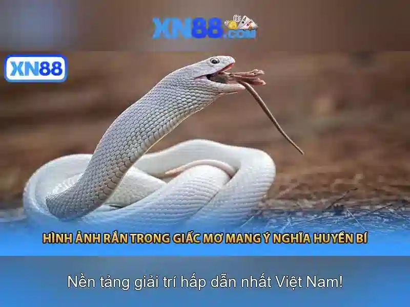 xn88 - Giới thiệu, đánh giá và cập nhật mới nhất
