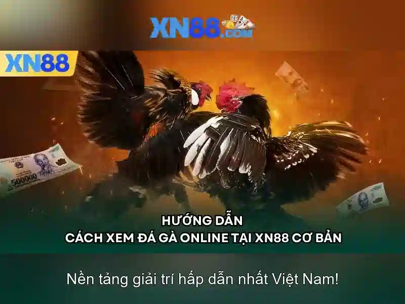 Giới thiệu về xn88 Giới thiệu về xn88