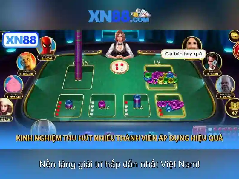 Xn88 là gì? Xn88 là gì?