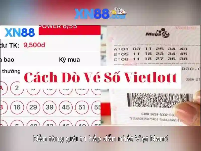 Ưu thế và sức cạnh tranh