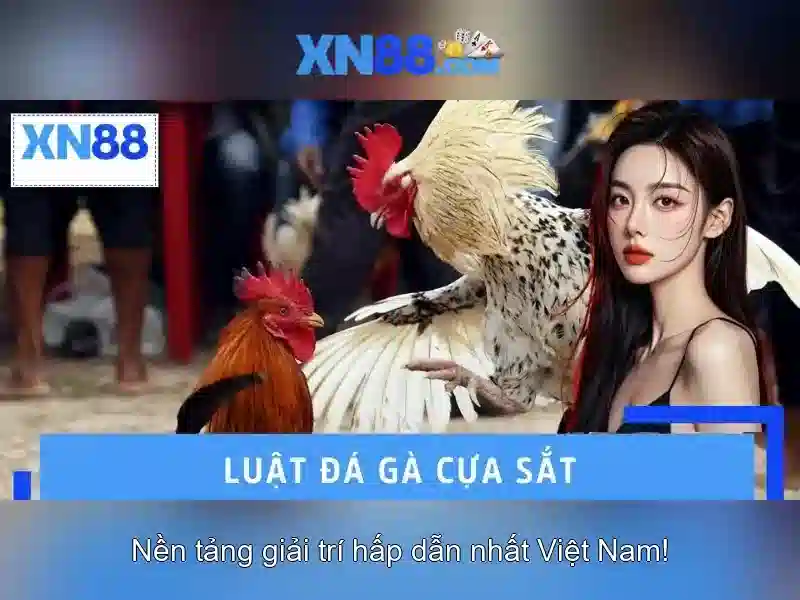 Kết luận và lời khuyên cho người dùng Kết luận và lời khuyên cho người dùng