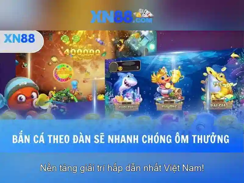 Giới thiệu về xn88
