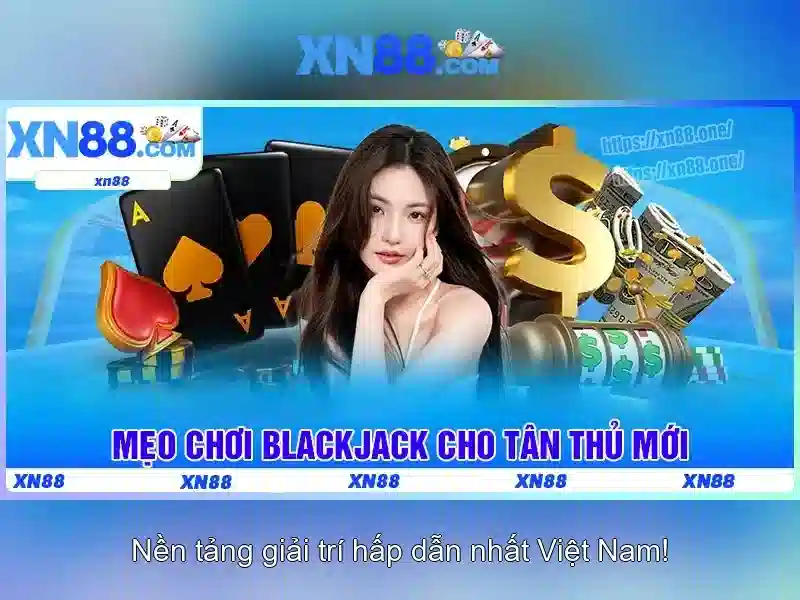 Cân nhắc về an toàn và trách nhiệm