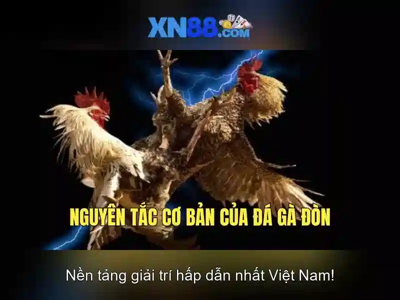 xn88: Tổng quan về một nền tảng trực tuyến