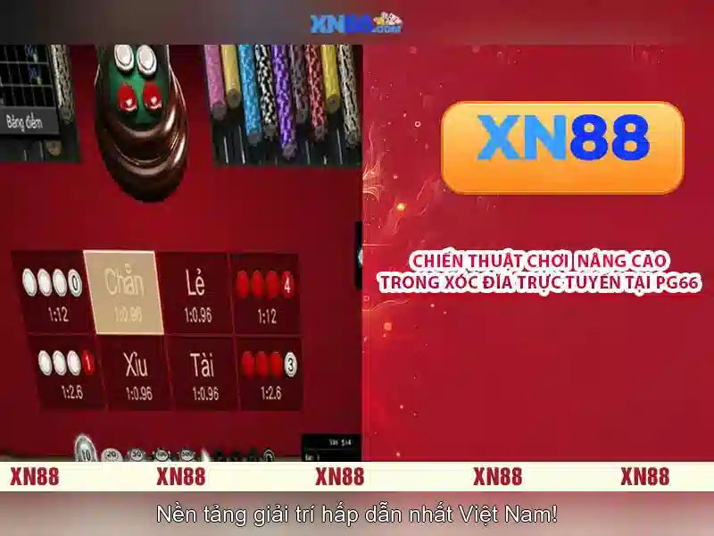 Hướng dẫn tham gia và an toàn