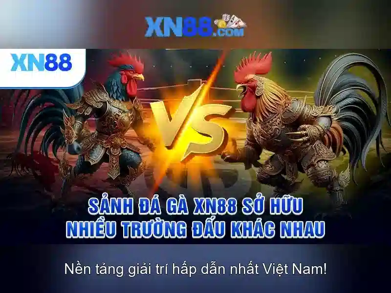 xn88 - Tổng quan và trải nghiệm chơi game trực tuyến